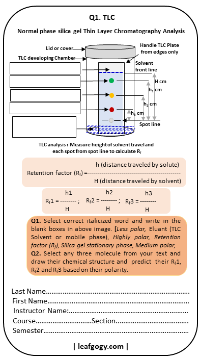 Q1 TLC